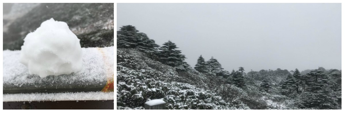 風(fēng)花雪月瑞方情，萬水千山大理行 第6張